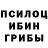 Псилоцибиновые грибы Psilocybine cubensis Venus Cabalquinto