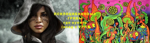 не бодяженный Алзамай
